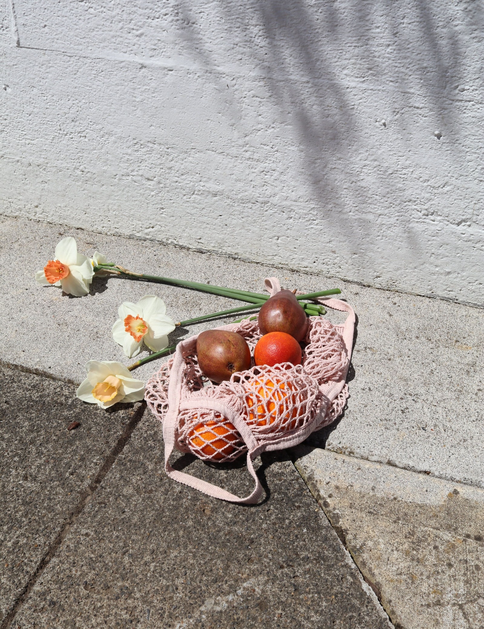 Wild Poppy Goods